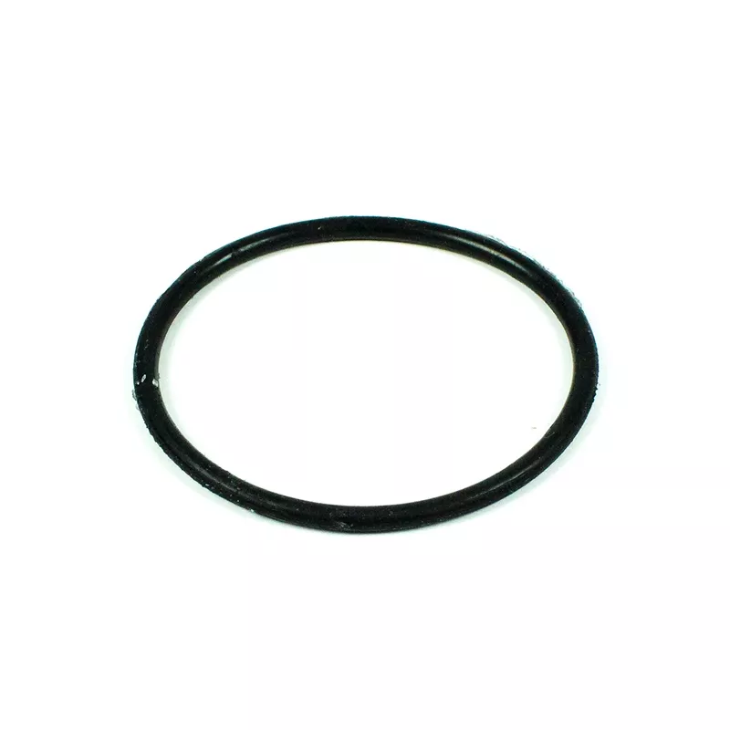 Recambio Clorador Salino Salt Expert Junta difusor