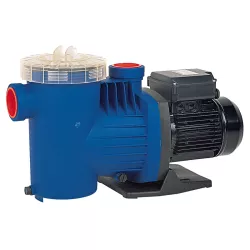 Bomba piscina Zodiac Redflo 300 Monofásica