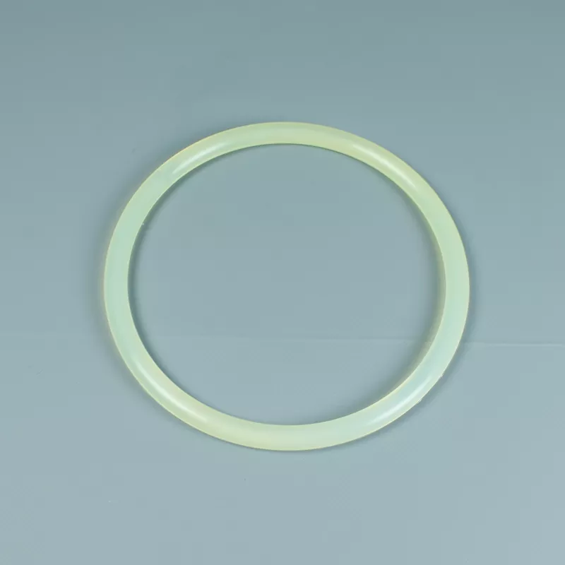 Junta tapa filtro Astralpool