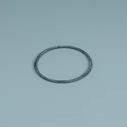 Recambio ESPA Bomba Niper 1 Junta tórica prefiltro