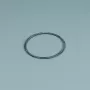 Ricambio O-Ring del prefiltro della pompa ESPA