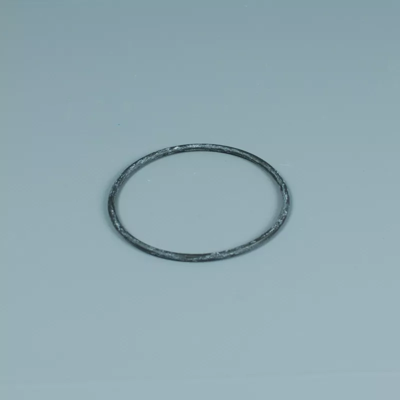 Recambio ESPA Bomba Niper 1 Junta tórica prefiltro