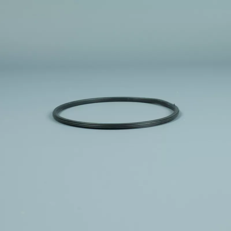 Recambio ESPA Bomba Iris Junta tórica prefiltro antigua