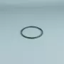 Vervangingsonderdeel ESPA Pomp voorfilter O-ring nieuw
