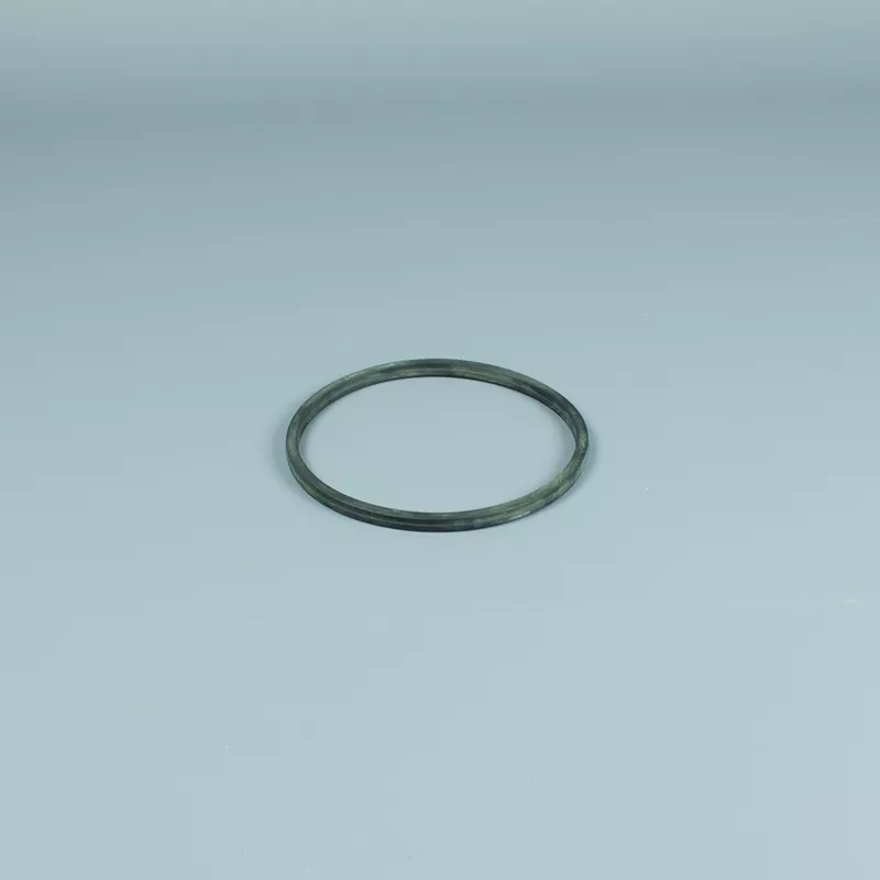 Recambio ESPA Bomba Iris Junta tórica prefiltro nueva