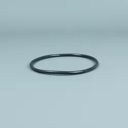 Recambio ESPA Bomba Silen Junta tórica prefiltro nueva