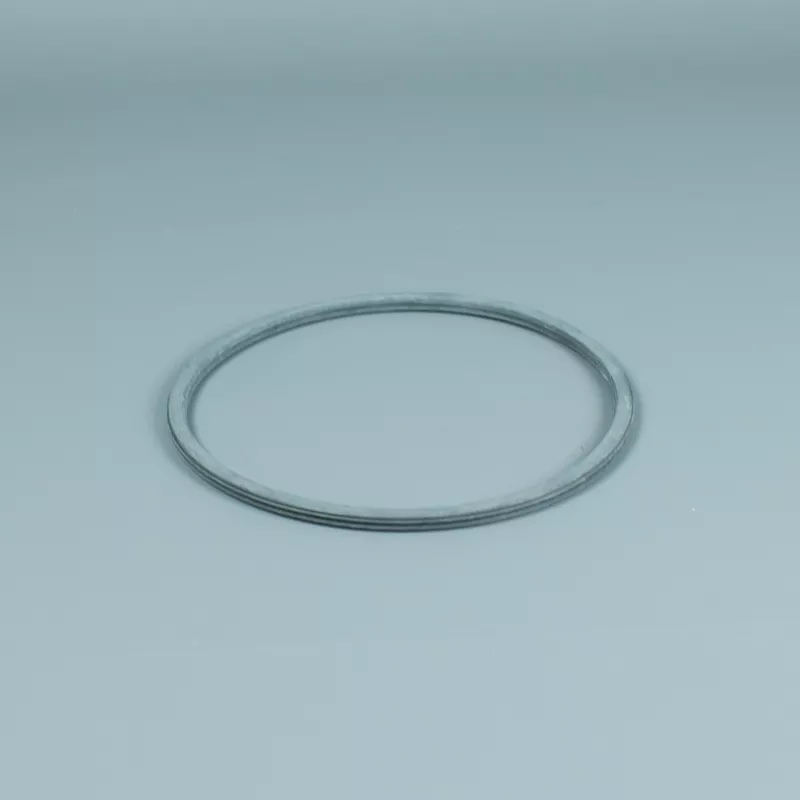 Recambio ESPA Bomba Junta tórica prefiltro antigua