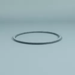 Recambio ESPA Bomba Junta tórica prefiltro antigua