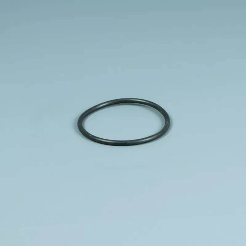 Recambio ESPA Bomba Junta raccord de conexión