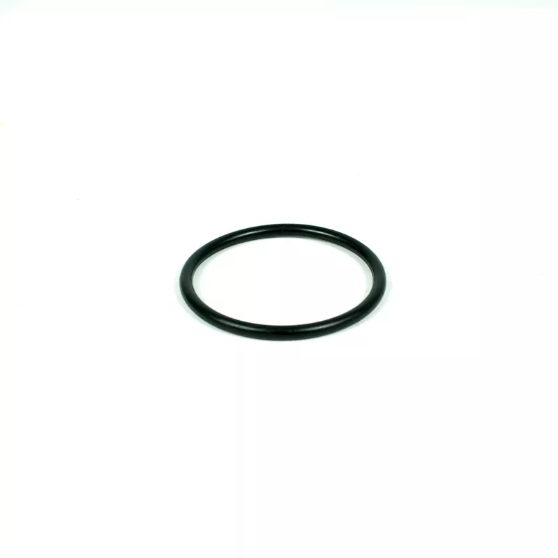 Recambios Coral Junta 63mm