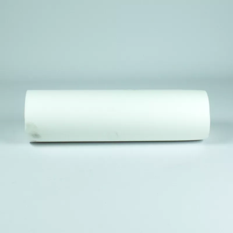 Recambio limpiafondos Dolphin Cepillo de espuma mágica