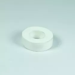 Recambio limpiafondos Dolphin Anillo espuma cepillo combinado