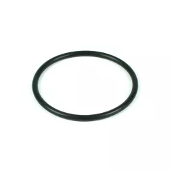 Recambio clorador Zodiac Junta tórica para electrodo