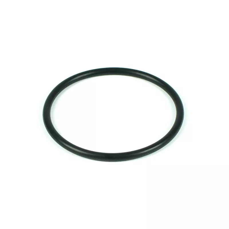 Recambio clorador Zodiac Junta tórica para electrodo