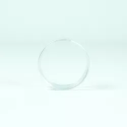 Recambio limpiafondos Zodiac Clip fijación de esponja