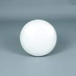 Lámpara Led Multicolor PAR56 800 Lumens con mando