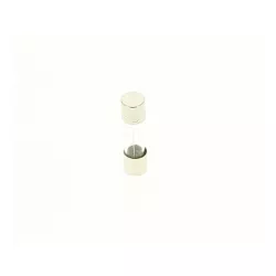 Recambio clorador Zodiac TRi  Fusible M205 2,5 A T