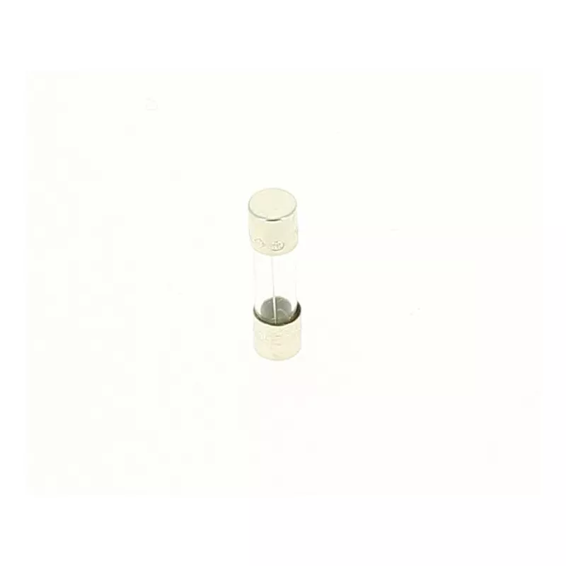 Recambio clorador Zodiac TRi Fusible M205 2,5 A T