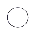Ricambio Astralpool O-ring pompa D.192 x 5 mm