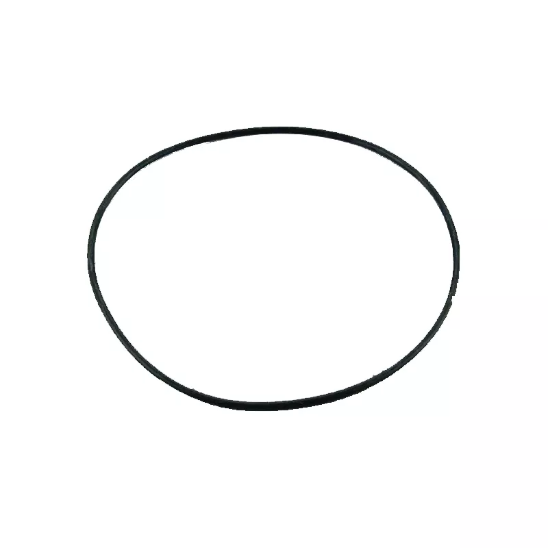 Recambio filtro Astralpool Junta tórica Cantabric