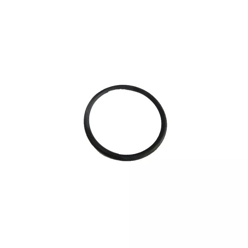 Recambio ESPA Bomba Junta raccord