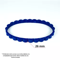 Recambio Zodiac Sweepy Free Correa oruga