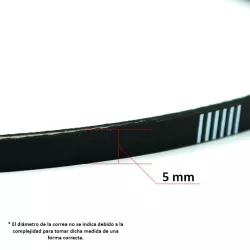 Recambio Zodiac Indigo  Correa de transmisi