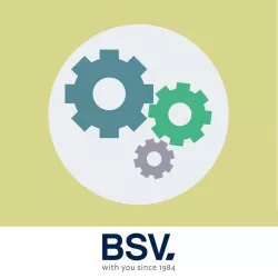 Revisión clorador salino BSV