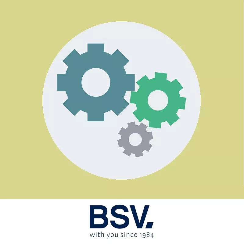 Revisión clorador salino BSV