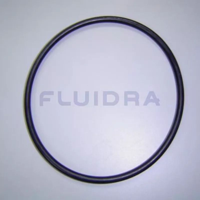 Recambio bomba Astralpool Junta goma Aral 2 CV