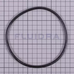 Recambio dosificador Astralpool Junta tórica tapa