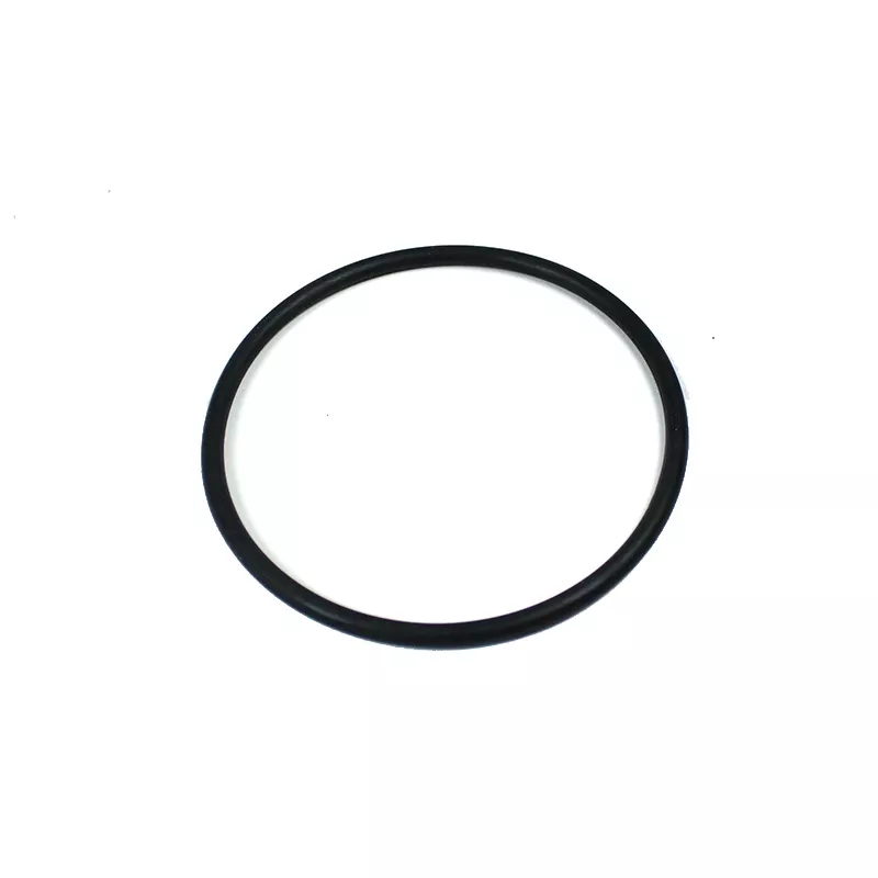 Recambio ESPA Bomba Junta tórica prefiltro Flipper NS