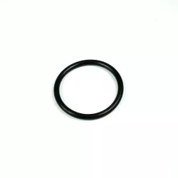 Recambio Coral Junta tuerca loca 2"