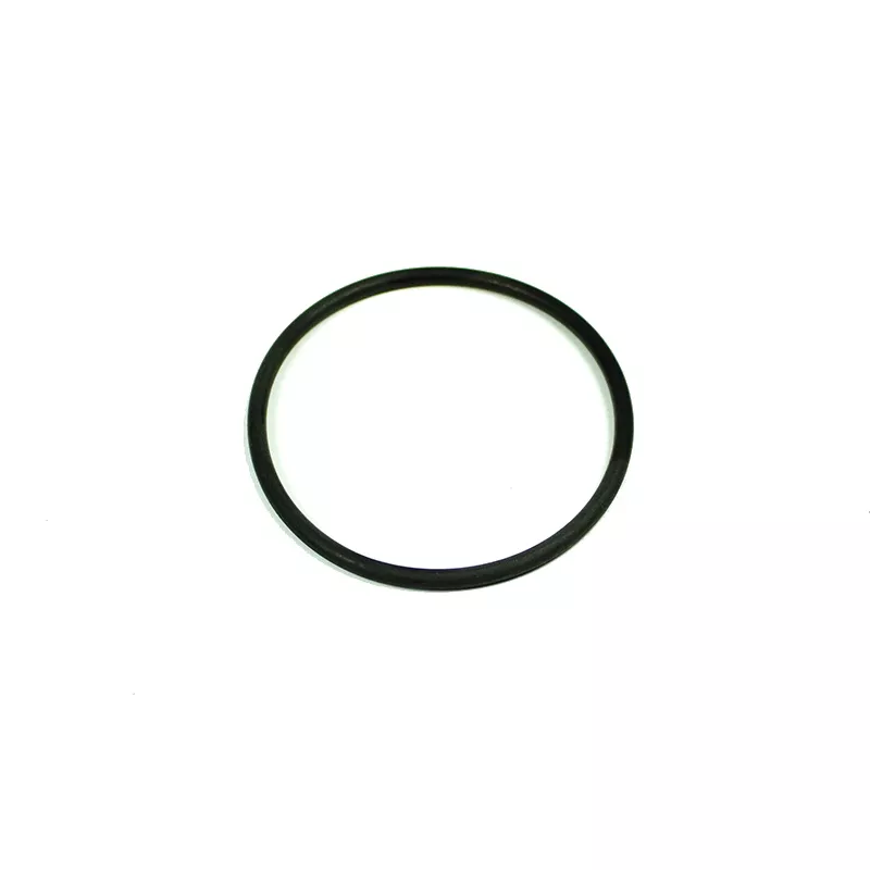 Recambio bomba Kripsol Junta tapa bomba