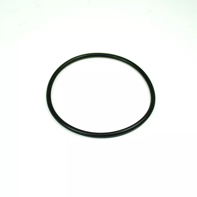 Recambio bomba Kripsol Junta tapa