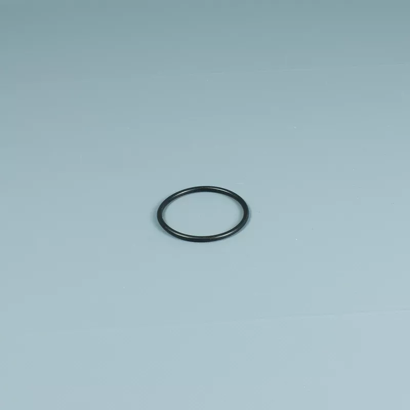 Recambio ESPA Bomba Junta raccord de conexión