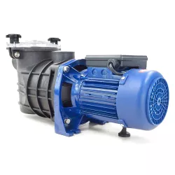 Bomba piscina QP Bravia 2 CV Monofásica