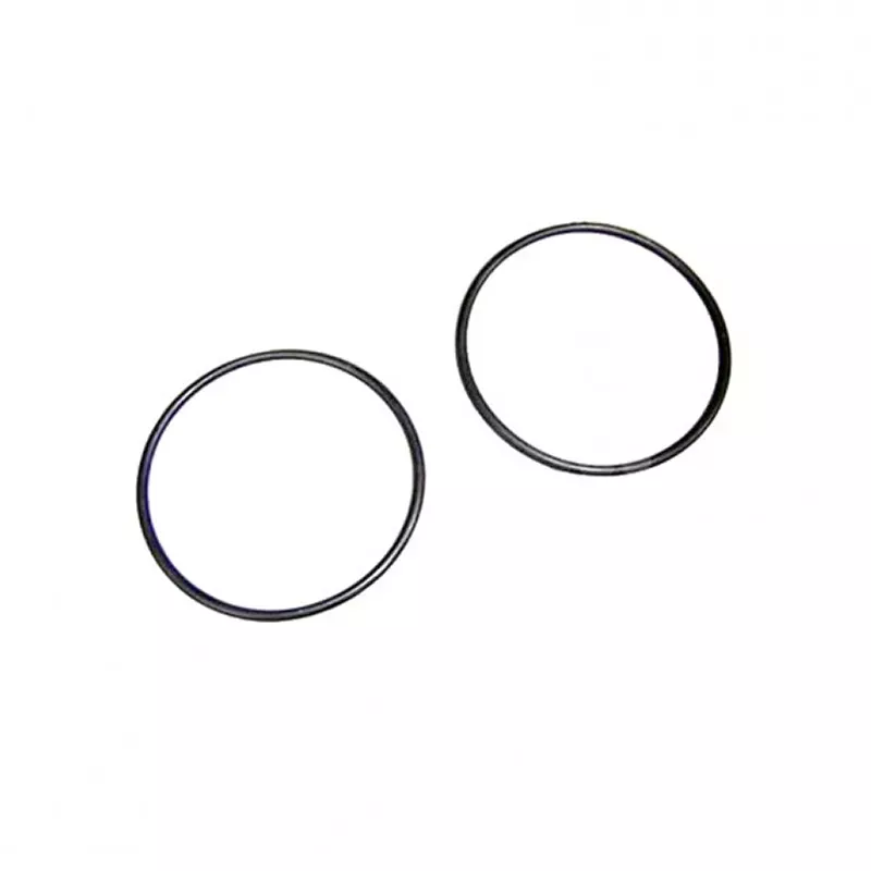 Pompvervanging Astralpool O-ring D.54x2,5