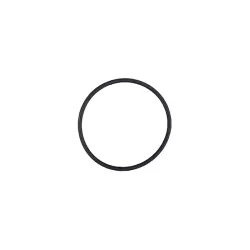 Replacement chlorinator Idegis EPDM gasket R-300 cell