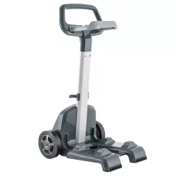 Pulitore automatico per piscine Dolphin E60i