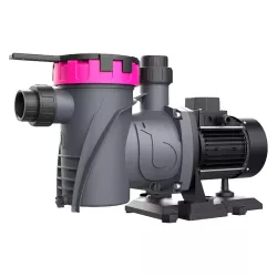 Zwembadpomp BWT Infinity 100M