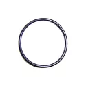 Vervanging chlorinator Astralpool O-ring afdichtring