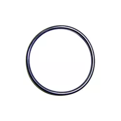 Vervanging chlorinator Astralpool O-ring afdichtring