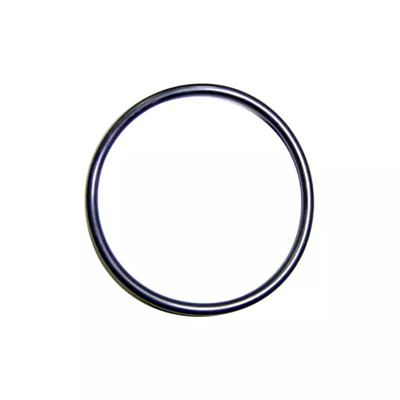 Ersatz-Chlorinator Astralpool O-Ring-Dichtungsring