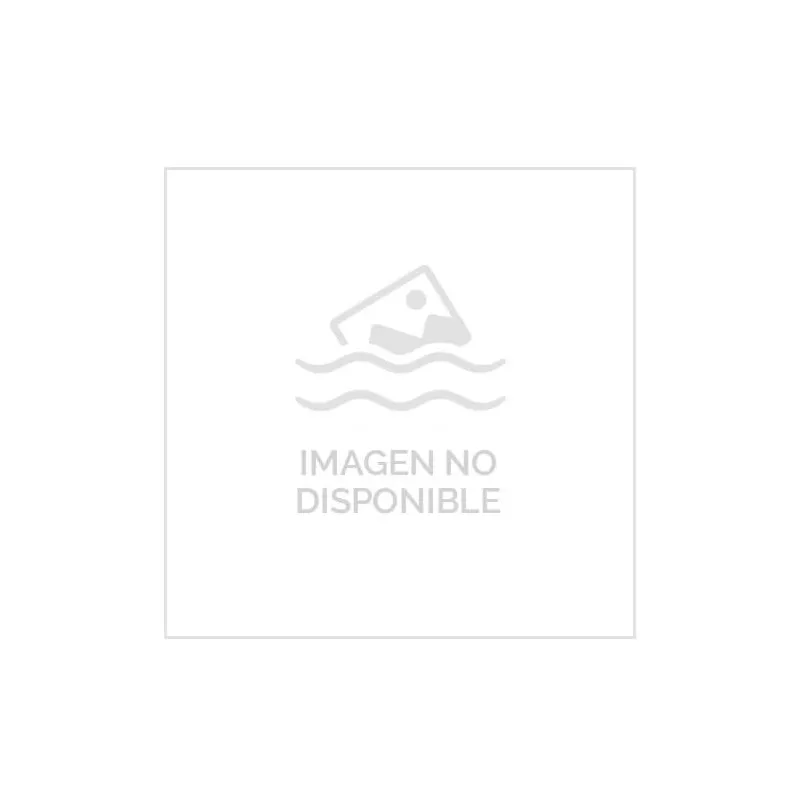 Recambio limpiafondos Zodiac Cargador de batería R0919502