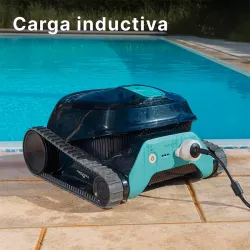 Dolphin Liberty 300 Kabelloser Poolreiniger