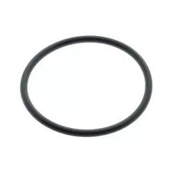 Recambio clorador QP Pool Technologie Junta célula ASSE012028