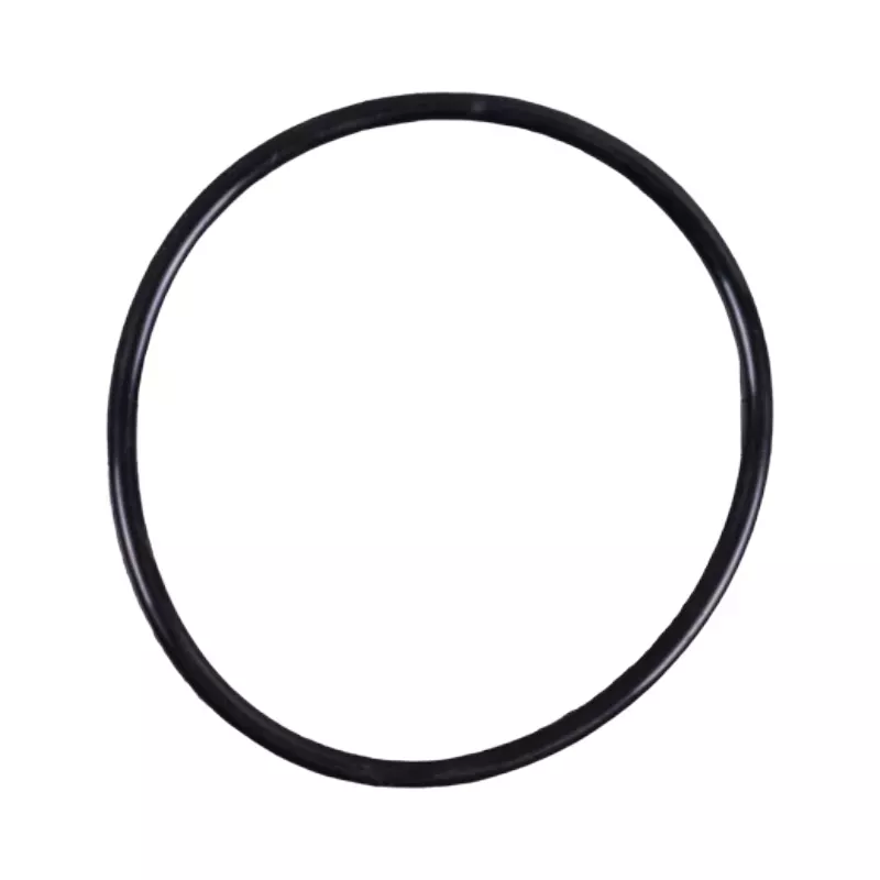 Replacement chlorinator Idegis EPDM gasket
