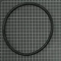 Ersatzteil ESPA Pumpe Vorfilter O-Ring alt