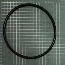 Pièce détachée ESPA Pump Flipper 2NS prefilter O-Ring